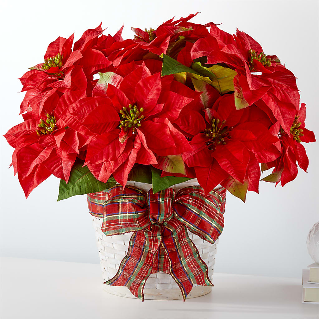 Happiest Holidays Poinsettia – Reedley Flower Shop, Reedley CA