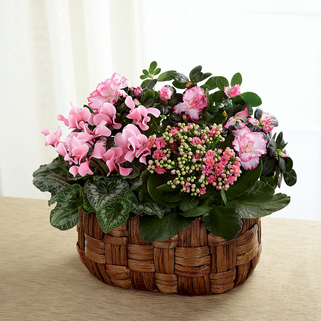 Pink Assortment – Reedley Flower Shop, Reedley CA