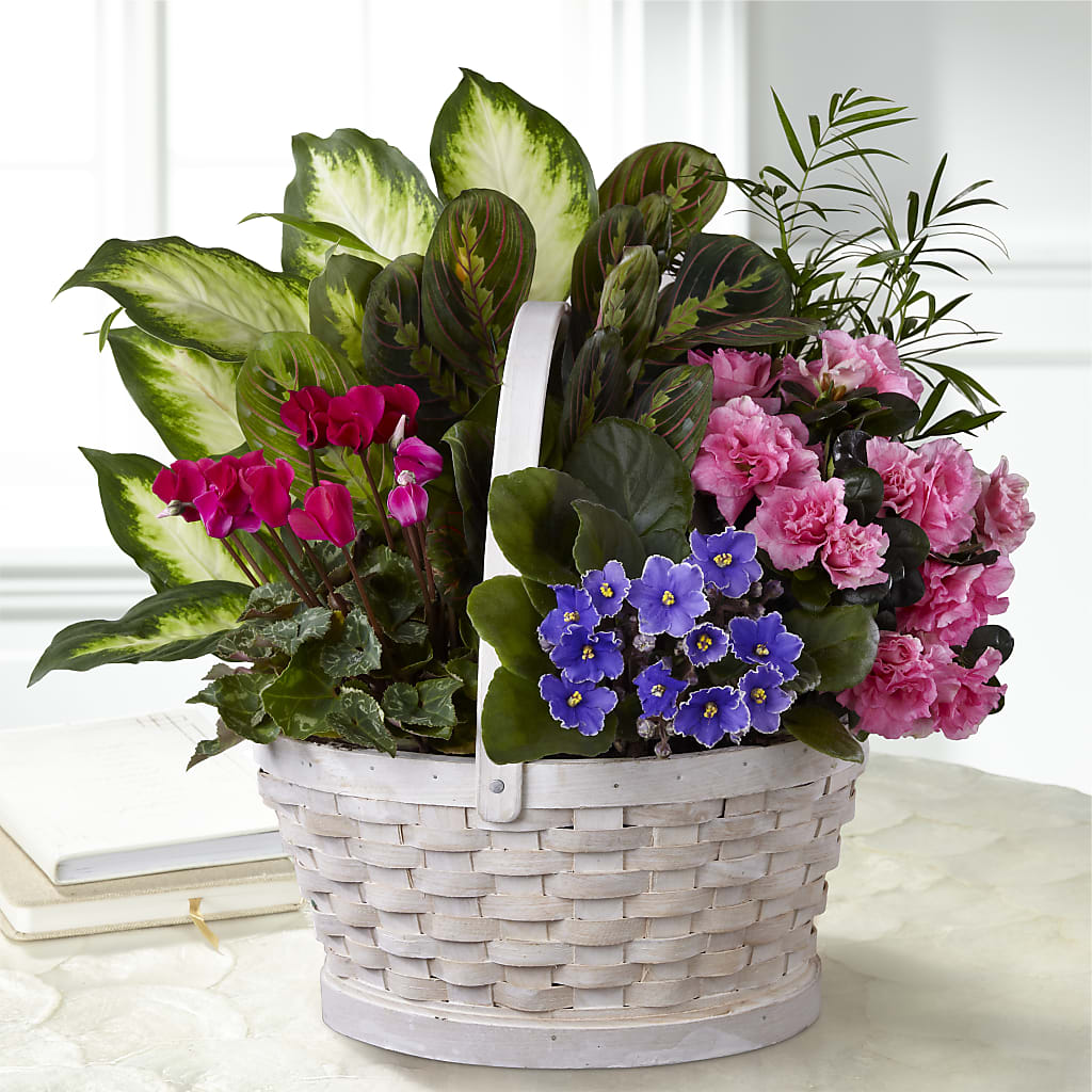 Peaceful Garden Planter – Reedley Flower Shop, Reedley CA
