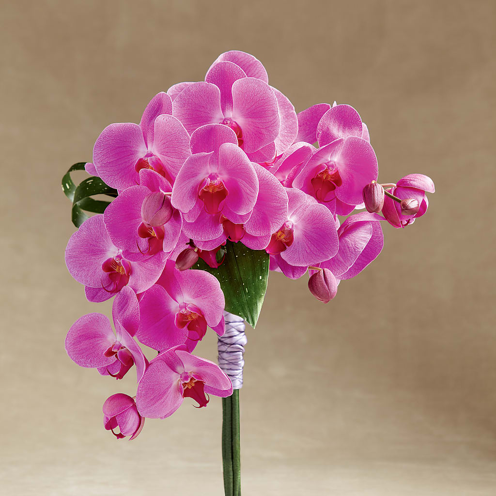 Glorious Bouquet – Reedley Flower Shop, Reedley CA