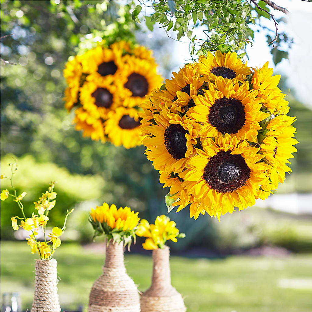 Sublime Garden Hanging Arrangement – Reedley Flower Shop, Reedley CA