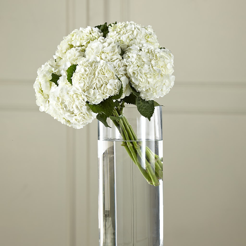 White Hydrangea Hand-Tied Bouquet – Reedley Flower Shop, Reedley CA