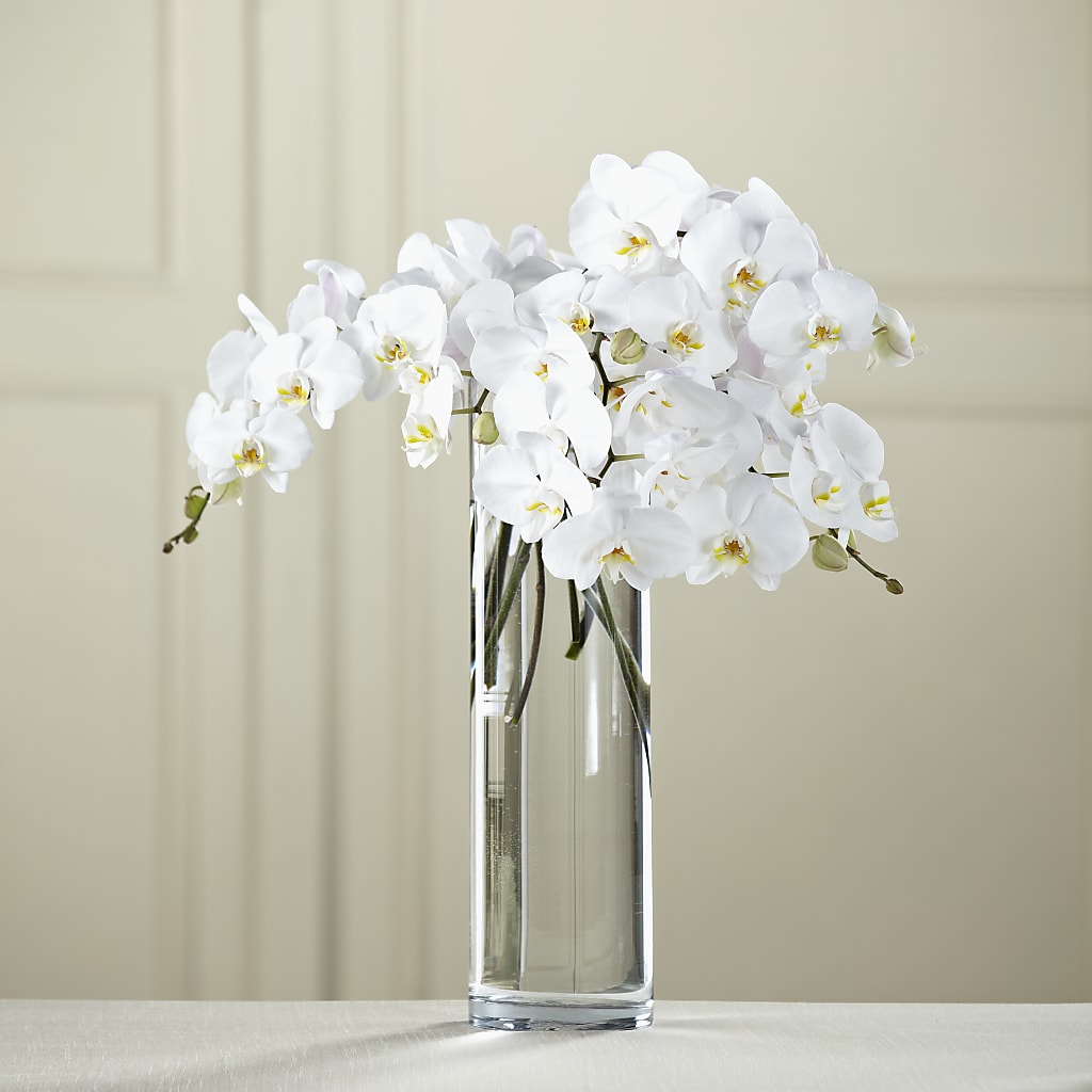 White Phalaenopsis Bouquet – Reedley Flower Shop, Reedley CA