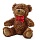Adorable Plush Bear –  Reedley Flower Shop, Reedley CA