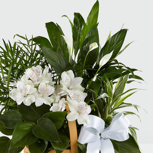 Peace & Serenity Dishgarden –  Reedley Flower Shop, Reedley CA