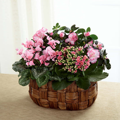 Pink Assortment –  Reedley Flower Shop, Reedley CA