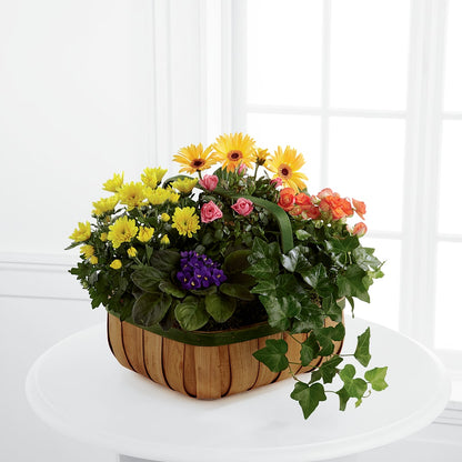 Gentle Blossoms Basket –  Reedley Flower Shop, Reedley CA