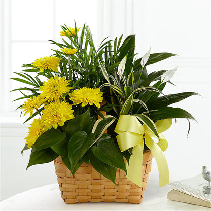 Loving Light Dishgarden –  Reedley Flower Shop, Reedley CA