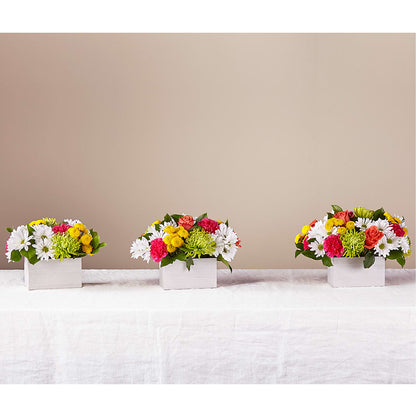 Sorbet Bouquet –  Reedley Flower Shop, Reedley CA