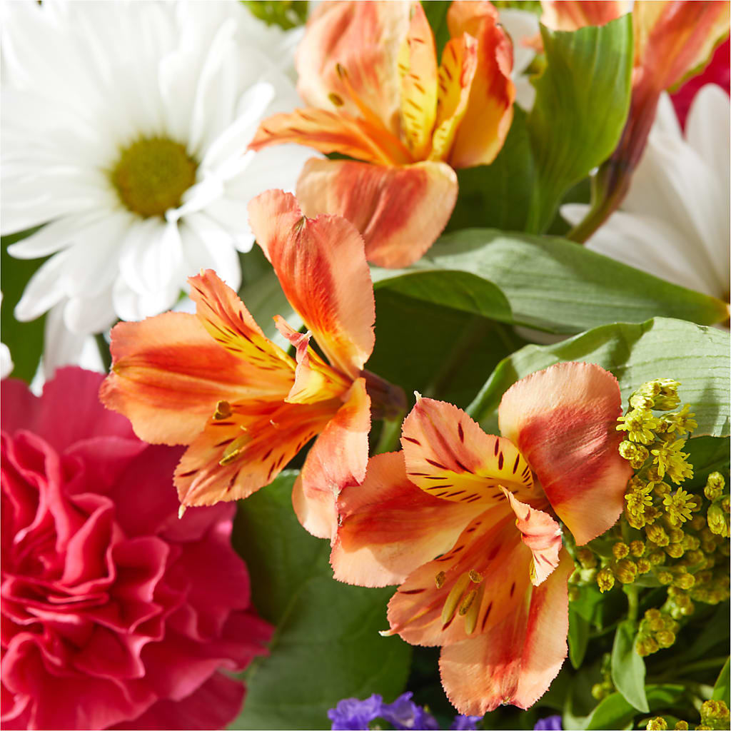 Oopsie Daisy Box Bouquet –  Reedley Flower Shop, Reedley CA
