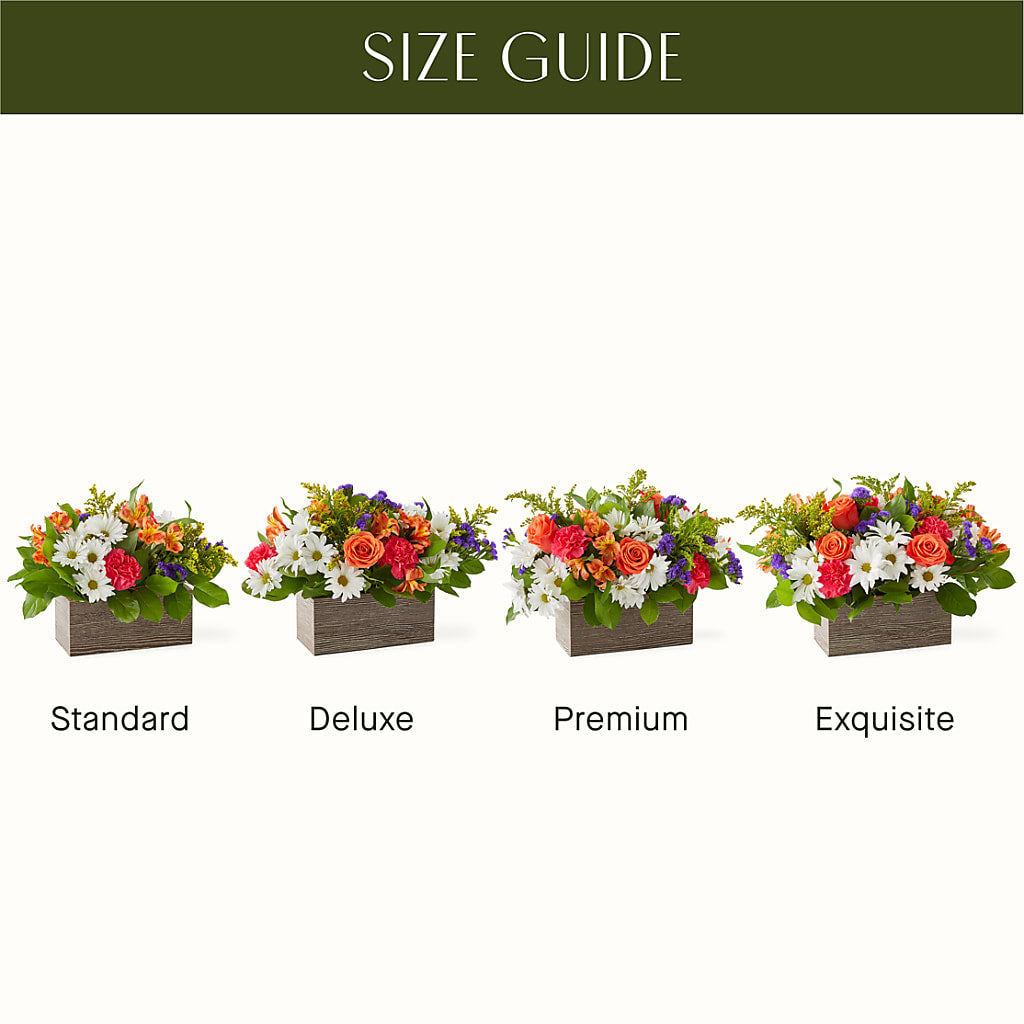 Oopsie Daisy Box Bouquet –  Reedley Flower Shop, Reedley CA