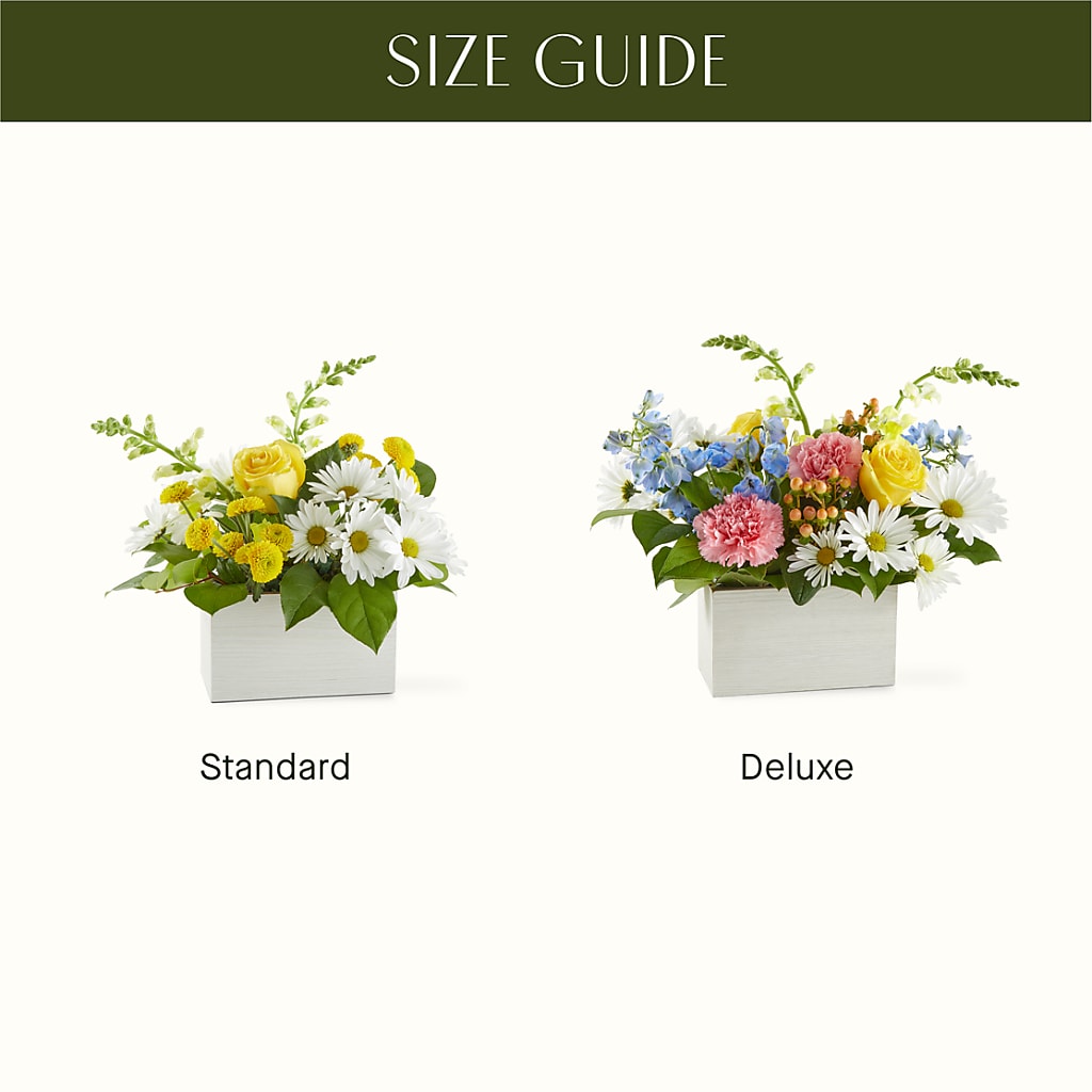 Sun Salutation Box Bouquet –  Reedley Flower Shop, Reedley CA