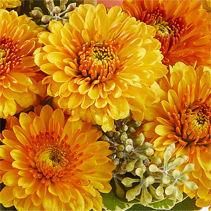 Peachy Pumpkin –  Reedley Flower Shop, Reedley CA