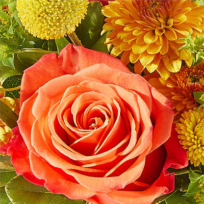 Gourdgeous Pumpkin –  Reedley Flower Shop, Reedley CA