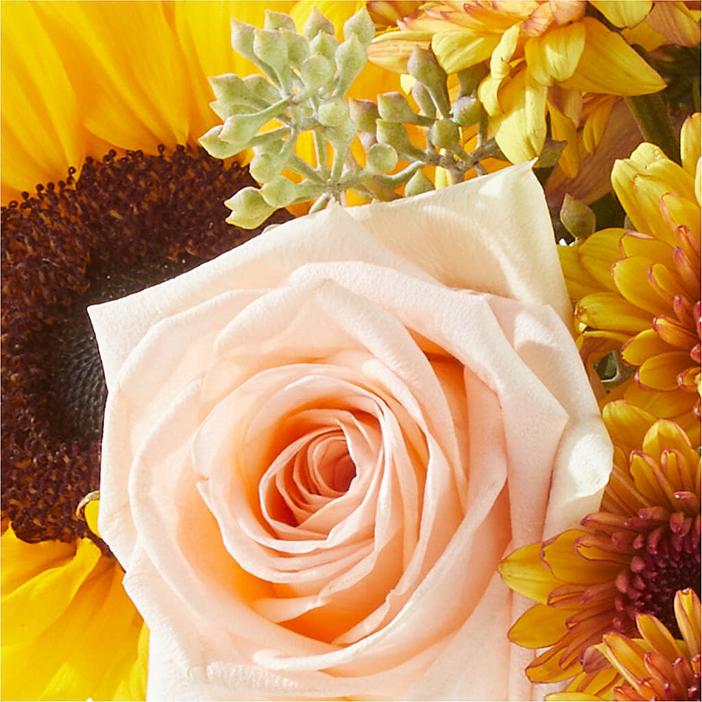 Pumpkin to Talk About Bouquet –  Reedley Flower Shop, Reedley CA