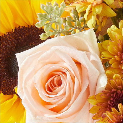 Pumpkin to Talk About Bouquet –  Reedley Flower Shop, Reedley CA