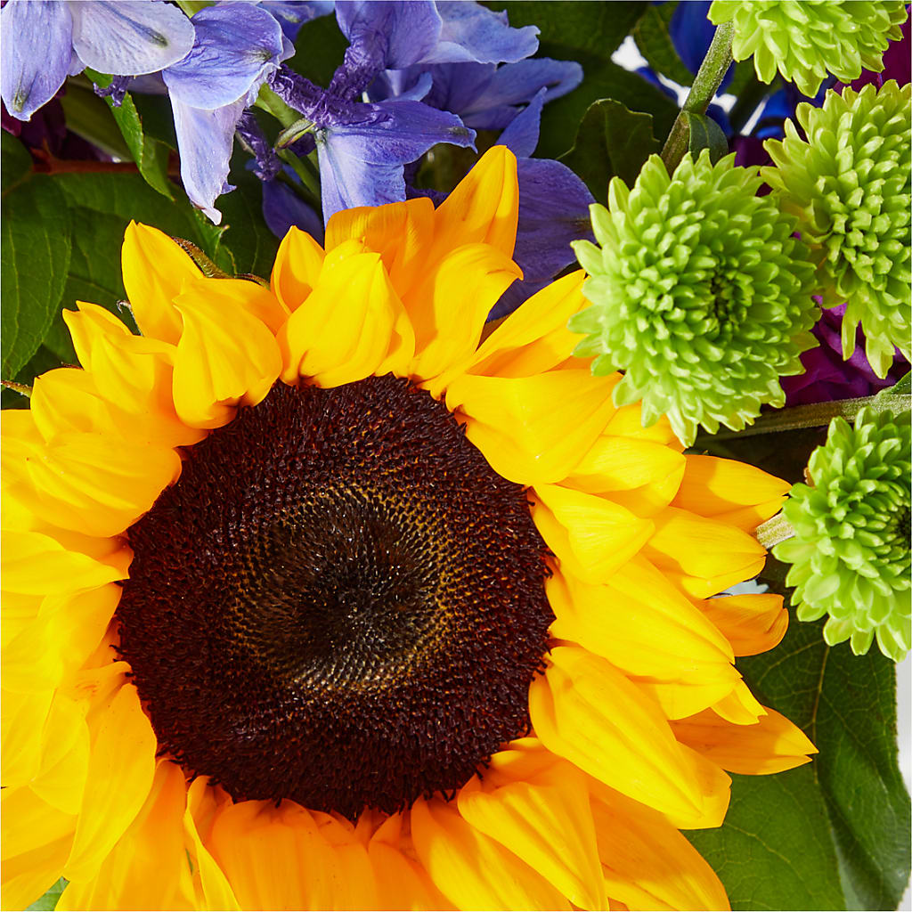 Catching Rays Bouquet –  Reedley Flower Shop, Reedley CA