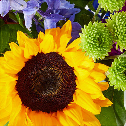 Catching Rays Bouquet –  Reedley Flower Shop, Reedley CA