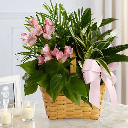 Living Spirit Dishgarden –  Reedley Flower Shop, Reedley CA