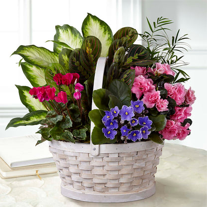 Peaceful Garden Planter –  Reedley Flower Shop, Reedley CA