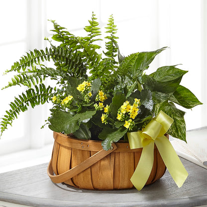 Always Dear Dishgarden –  Reedley Flower Shop, Reedley CA