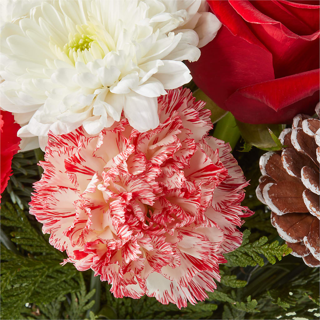 Candy Cane Lane Bouquet –  Reedley Flower Shop, Reedley CA