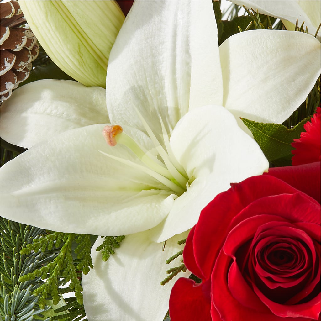 Oh So Jolly Bouquet –  Reedley Flower Shop, Reedley CA