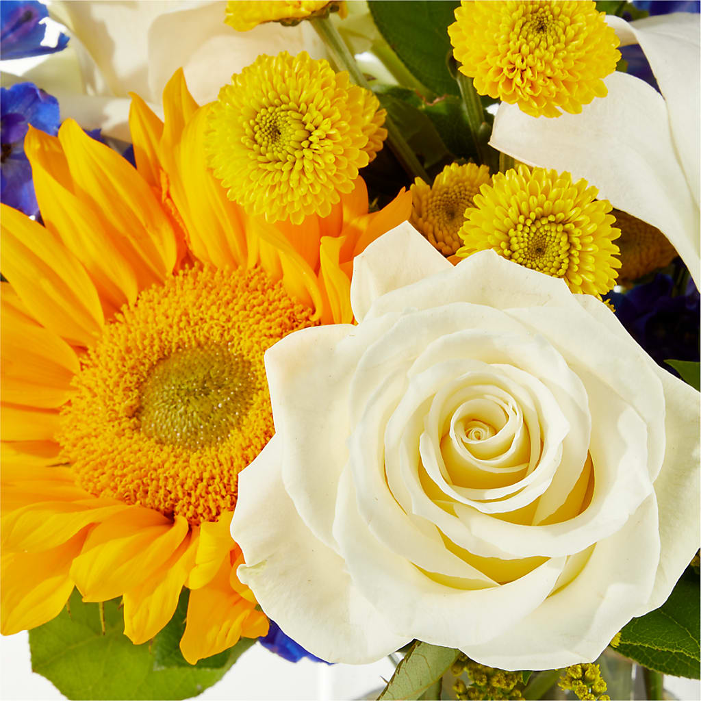 Stargazing Bouquet –  Reedley Flower Shop, Reedley CA
