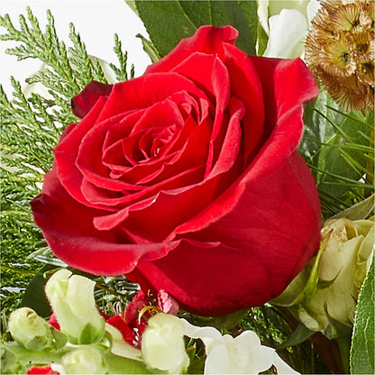 Deck the Halls Bouquet –  Reedley Flower Shop, Reedley CA