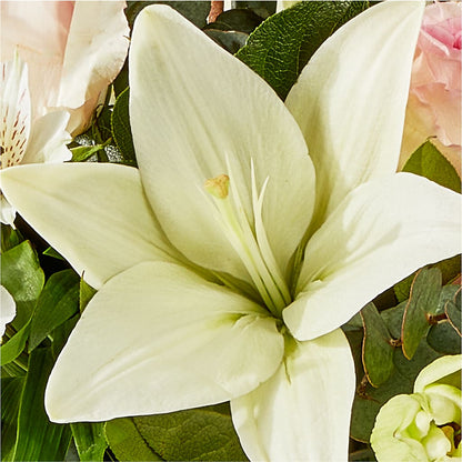Ballet Slippers Bouquet –  Reedley Flower Shop, Reedley CA
