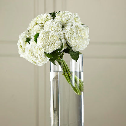 White Hydrangea Hand-Tied Bouquet –  Reedley Flower Shop, Reedley CA