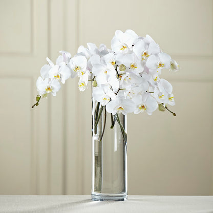White Phalaenopsis Bouquet –  Reedley Flower Shop, Reedley CA